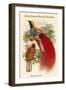 Paradisea Decora - Grey-Chested Bird of Paradise-John Gould-Framed Art Print