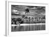 Paradisiacal Beach overlooking Downtown Miami - Florida-Philippe Hugonnard-Framed Photographic Print