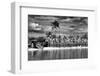 Paradisiacal Beach overlooking Downtown Miami - Florida-Philippe Hugonnard-Framed Photographic Print