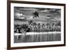 Paradisiacal Beach overlooking Downtown Miami - Florida-Philippe Hugonnard-Framed Photographic Print