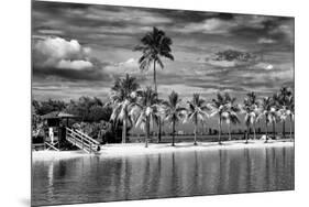 Paradisiacal Beach overlooking Downtown Miami - Florida-Philippe Hugonnard-Mounted Photographic Print