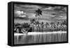 Paradisiacal Beach overlooking Downtown Miami - Florida-Philippe Hugonnard-Framed Stretched Canvas