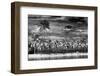 Paradisiacal Beach overlooking Downtown Miami - Florida-Philippe Hugonnard-Framed Photographic Print