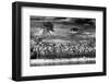 Paradisiacal Beach overlooking Downtown Miami - Florida-Philippe Hugonnard-Framed Photographic Print