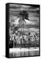 Paradisiacal Beach overlooking Downtown Miami - Florida-Philippe Hugonnard-Framed Stretched Canvas