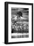 Paradisiacal Beach overlooking Downtown Miami - Florida-Philippe Hugonnard-Framed Photographic Print