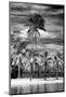 Paradisiacal Beach overlooking Downtown Miami - Florida-Philippe Hugonnard-Mounted Photographic Print