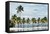 Paradisiacal Beach overlooking Downtown Miami - Florida-Philippe Hugonnard-Framed Stretched Canvas