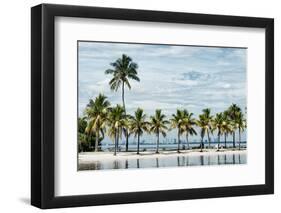 Paradisiacal Beach overlooking Downtown Miami - Florida-Philippe Hugonnard-Framed Photographic Print