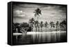 Paradisiacal Beach overlooking Downtown Miami - Florida-Philippe Hugonnard-Framed Stretched Canvas