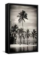 Paradisiacal Beach overlooking Downtown Miami - Florida-Philippe Hugonnard-Framed Stretched Canvas