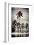 Paradisiacal Beach overlooking Downtown Miami - Florida-Philippe Hugonnard-Framed Photographic Print