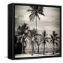 Paradisiacal Beach overlooking Downtown Miami - Florida-Philippe Hugonnard-Framed Stretched Canvas