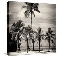 Paradisiacal Beach overlooking Downtown Miami - Florida-Philippe Hugonnard-Stretched Canvas