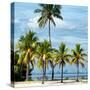 Paradisiacal Beach overlooking Downtown Miami - Florida-Philippe Hugonnard-Stretched Canvas