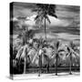 Paradisiacal Beach overlooking Downtown Miami - Florida-Philippe Hugonnard-Stretched Canvas