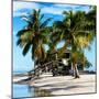 Paradisiacal Beach with a Life Guard Station - Miami - Florida-Philippe Hugonnard-Mounted Photographic Print