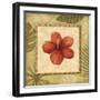 Paradisio II-Charlene Audrey-Framed Art Print