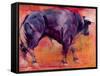 Parado, 1999-Mark Adlington-Framed Stretched Canvas