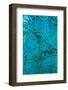 Paradox-Doug Chinnery-Framed Photographic Print