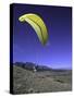 Paraglider Running, USA-Michael Brown-Stretched Canvas