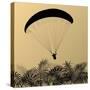 Paragliding Active Sport Landscape Concept for Poster-Kristaps Eberlins-Stretched Canvas