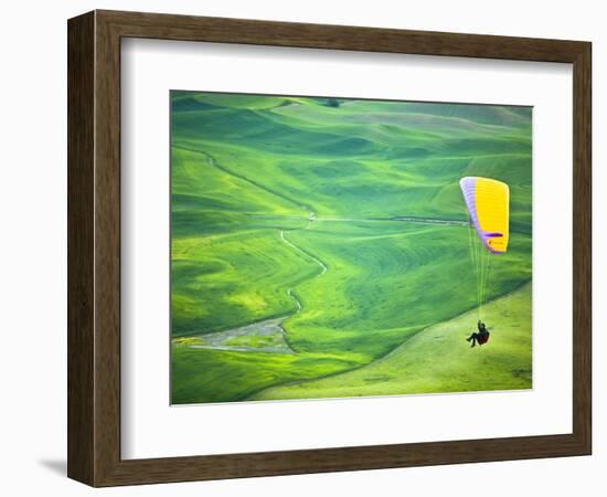 Paragliding Among the Picturesque, Wheat Covered Hills of the Palouse in Eastern Washington at Dusk-Ben Herndon-Framed Photographic Print