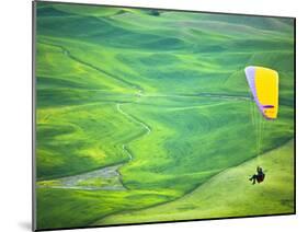 Paragliding Among the Picturesque, Wheat Covered Hills of the Palouse in Eastern Washington at Dusk-Ben Herndon-Mounted Photographic Print