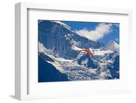 Paragliding in Swiss Alps Jungfrau Region, Switzerland-swisshippo-Framed Photographic Print