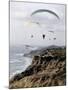 Paragliding, Torrey Pines, California, USA-null-Mounted Photographic Print