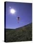 Paragliding, USA-Michael Brown-Stretched Canvas