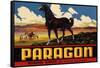 Paragon Brand - Whittier, California - Citrus Crate Label-Lantern Press-Framed Stretched Canvas