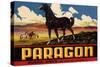 Paragon Brand - Whittier, California - Citrus Crate Label-Lantern Press-Stretched Canvas