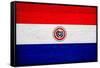 Paraguay Flag Design with Wood Patterning - Flags of the World Series-Philippe Hugonnard-Framed Stretched Canvas