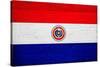 Paraguay Flag Design with Wood Patterning - Flags of the World Series-Philippe Hugonnard-Stretched Canvas