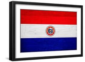 Paraguay Flag Design with Wood Patterning - Flags of the World Series-Philippe Hugonnard-Framed Art Print