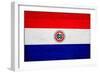 Paraguay Flag Design with Wood Patterning - Flags of the World Series-Philippe Hugonnard-Framed Art Print