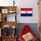 Paraguay Flag Design with Wood Patterning - Flags of the World Series-Philippe Hugonnard-Art Print displayed on a wall