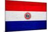 Paraguay Flag Design with Wood Patterning - Flags of the World Series-Philippe Hugonnard-Mounted Art Print