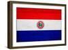 Paraguay Flag Design with Wood Patterning - Flags of the World Series-Philippe Hugonnard-Framed Premium Giclee Print