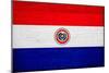 Paraguay Flag Design with Wood Patterning - Flags of the World Series-Philippe Hugonnard-Mounted Premium Giclee Print