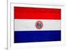 Paraguay Flag Design with Wood Patterning - Flags of the World Series-Philippe Hugonnard-Framed Art Print