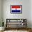 Paraguay Flag Design with Wood Patterning - Flags of the World Series-Philippe Hugonnard-Framed Art Print displayed on a wall
