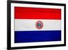 Paraguay Flag Design with Wood Patterning - Flags of the World Series-Philippe Hugonnard-Framed Art Print