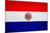 Paraguay Flag Design with Wood Patterning - Flags of the World Series-Philippe Hugonnard-Mounted Art Print