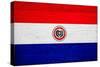 Paraguay Flag Design with Wood Patterning - Flags of the World Series-Philippe Hugonnard-Stretched Canvas