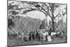 Paraguayan Tea Gathering, Paraguay, 1911-null-Mounted Premium Giclee Print