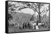 Paraguayan Tea Gathering, Paraguay, 1911-null-Framed Stretched Canvas