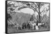 Paraguayan Tea Gathering, Paraguay, 1911-null-Framed Stretched Canvas