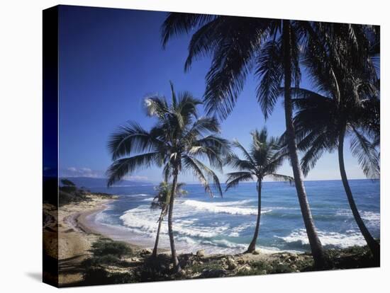 Paraiso, Dominican Republic-null-Stretched Canvas